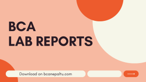 bca tu,bca courses,bca course,bca course catalog,bca course full form,bca course subjects,bca course syllabus,bca course fees,bca courses in nepal,bca course details in hindi